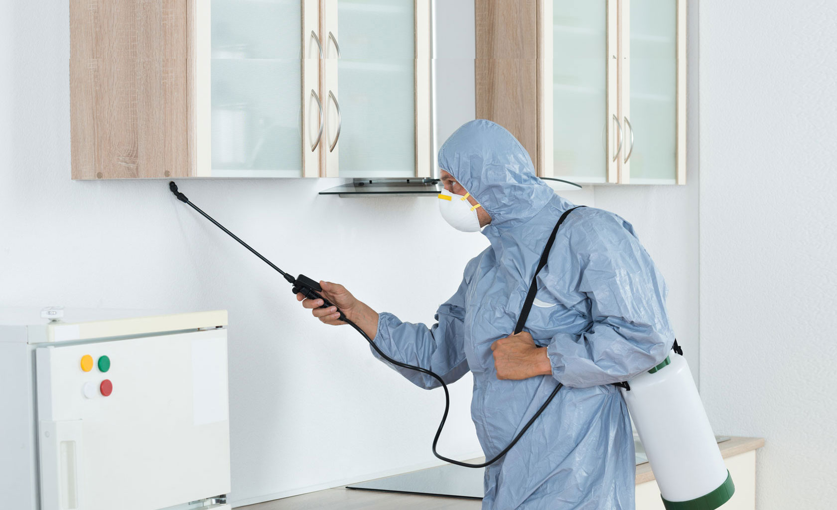 Pest Control Everton Park