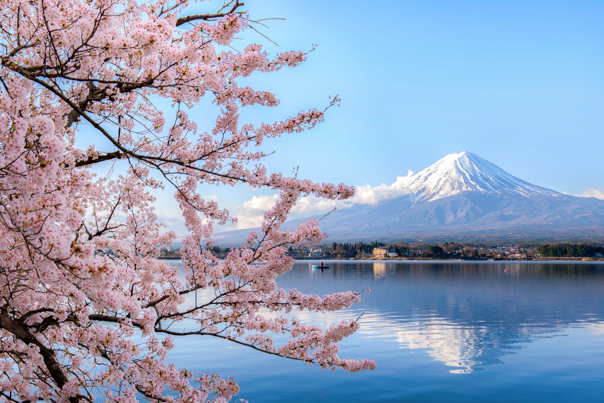 Japan Airlines Customer care