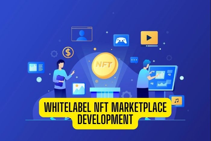 Whitelabel NFT Marketplace Development
