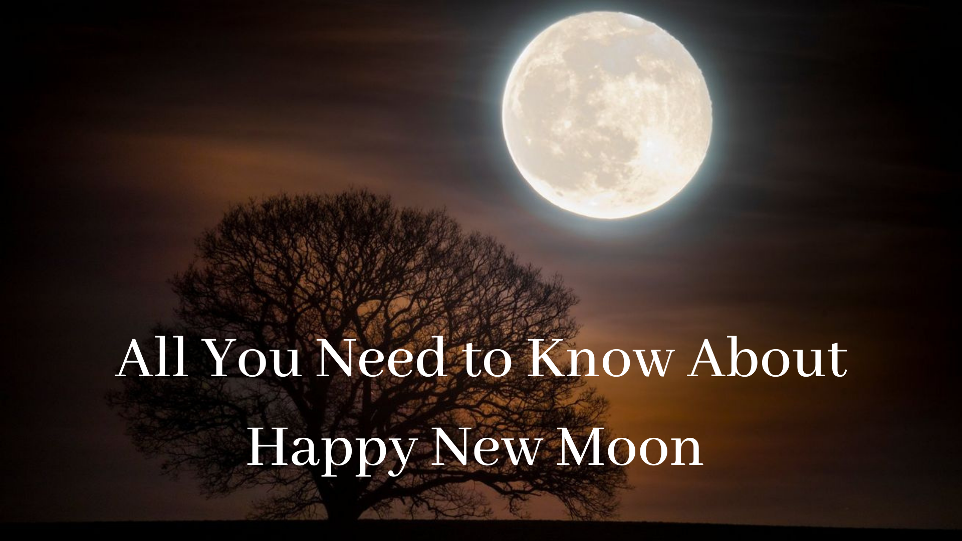 happy new moon