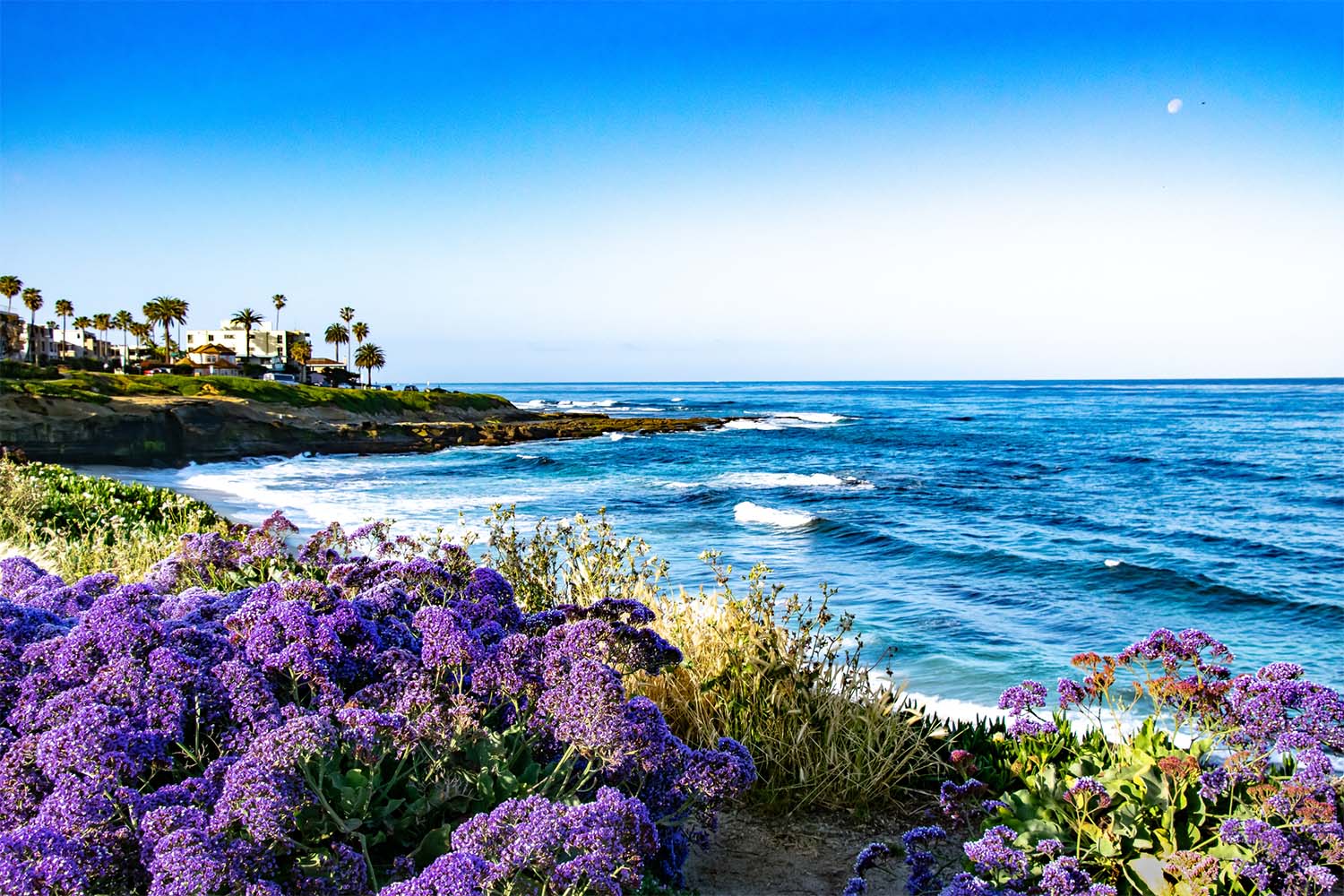 homes for sale in san diego ca