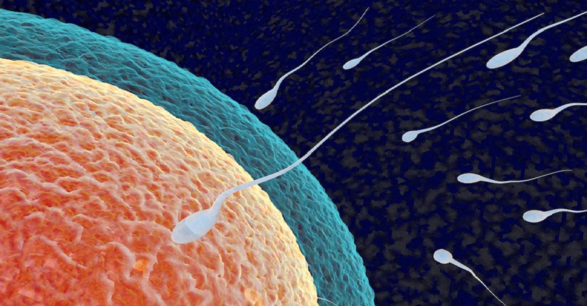 ivf-treatment-doctor-in-kenya