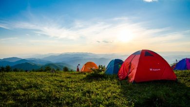 Photo of Camping : 10 Reasons To Camping!