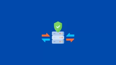 Photo of The Role of Elite Proxies in Web Scraping: Best Practices and Tools
