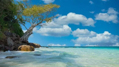 Photo of Essential Travel Tips For First-Time Visitors To Thailand