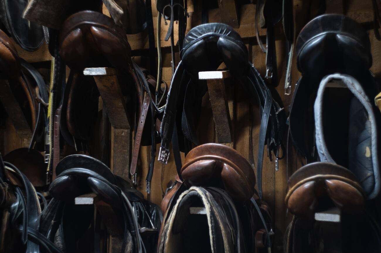 Best Saddle for Trail Riding Australia